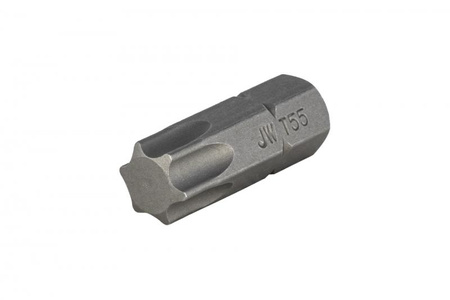 Bit 10mm TORX T55x30mm