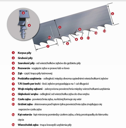 PIŁA TAŚMOWA 3660x27x0,9 M42 8/12